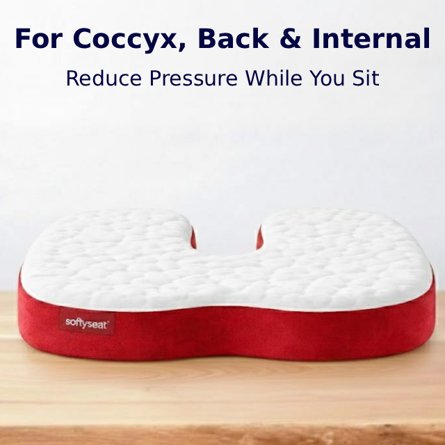 SoftySeat Sitting Cushion + 90 Day 'Sit Ease' Program